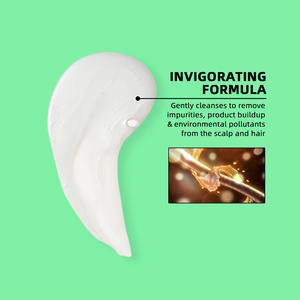 1 litre contrôle de l'huile clarifiant anti-pelliculaire arbre à thé shampooing et après-shampooing marque privée - Product Image 3