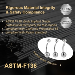 SUPERSTAR ASTM F136 Titane Anneau segmenté articulé en forme de marquise avec sertissage à griffes en zircone cubique en éventail, pour <span class=keywords><strong>piercing</strong></span> de septum, boucle d'oreille et <span class=keywords><strong>piercing</strong></span> de <span class=keywords><strong>nez</strong></span> - Product Image 2