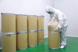 Probióticos de Alta Calidad, <span class=keywords><strong>Lactobacillus</strong></span> <span class=keywords><strong>Casei</strong></span> Liofilizado en Polvo, Aditivo Alimentario para Suplementos Probióticos para la Salud - Product Image 6