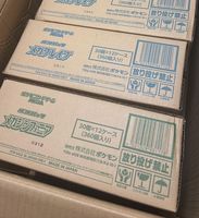 Jeu de cartes Pokémon 2025 - Pack haut de gamme "Mega Dream EX" (M2a) - Boîte de boosters - Version japonaise - Collection de cartes à collectionner PTCG - Boîte dorée