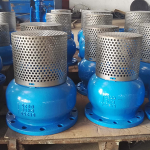 Pie de acero inoxidable y hierro fundido de 4 y 16 pulgadas, estándar ANSI, 125 lb y 150 lb, para bomba de agua con válvula de retención unidireccional - Product Image 5