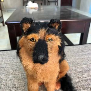 आभूषण कृत्रिम पशु मॉडल शिल्प पालतू खिलौने कमरे में रहने वाले जर्मन शेफर्ड घर सजावट बैठे यथार्थवादी कुत्ते - Product Image 3