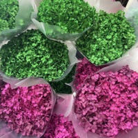 Hydrangea naturel séché et préservé, fleur décorative pour centre de table du Nouvel An chinois - Prix usine, longue durée de vie