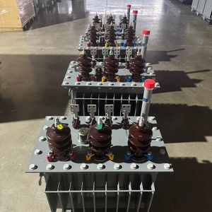 قطب توزيع الطاقة الكهربائي 10kva 250va ، جهد الخرج 6kv 35kv جهد الإدخال بسعر تنافسي - Product Image 2