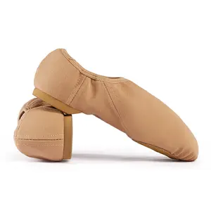 사용자 정의 여성 소녀와 소년 봄 캔버스 라틴 댄스 신발 제조 플랫 발레 고양이 발톱 신발 재즈 댄스 신발