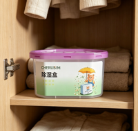 Kit déshumidificateur au chlorure de calcium pour armoires et placards : inodore, absorbant l'humidité et anti-moisissure