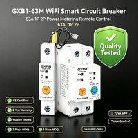 GXB1-63M WiFi Smart Breaker 63A 1P 2P dengan Pengukuran Daya, Kontrol Suara Jarak Jauh via Aplikasi TUYA, Pemutus Sirkuit Otomatis