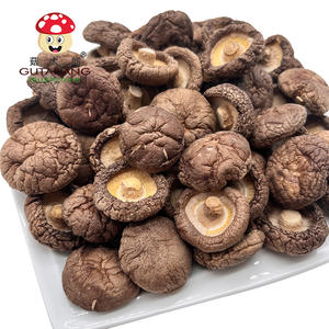 सूखे शीटकेक मशरूम डिहाइड्रेटेड थोक सस्ते स्वस्थ सूखे शीटकेक मशरूम कोई भी जड़ गुणवत्ता आश्वासन निर्यात नहीं कर सकता - Product Image 1