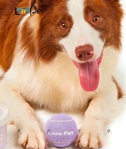 <span class=keywords><strong>Pet</strong></span> Suppliers Benutzer definiertes Logo Umwelt freundliches Werfen Hund Kauen Spielzeug Großhandel Gummi Haustier Tennisbälle interaktive Hundes pielzeugball - Product Image 5