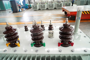 Nhà máy tùy chỉnh ba giai đoạn 15KV ngoài trời dầu đắm mình biến áp 40 MVA 69KV 110kv 1250kva dấu chân nhỏ 50 KVA Điện - Product Image 4