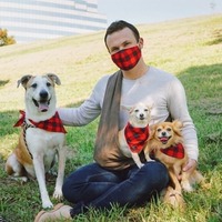 Chouchous cheveux cravates animal de compagnie Bandana collier de luxe chat chien Bandanas bavoirs gros chien écharpe