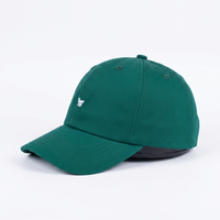 Gorra de Béisbol de 6 Paneles, Diseño Deportivo, Estilo Europeo Americano, Moderna, Vintage, de Poliéster/Algodón