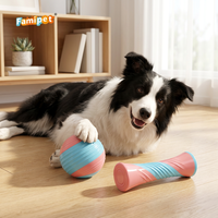 Famipet Fabricant Grossiste Nouveau Jouet à Mâcher pour Chien en TPR Durable, Design Géométrique en Forme de Boule, pour Mâcheurs Agressifs