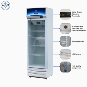 Réfrigérateur à boissons <span class=keywords><strong>vertical</strong></span> économique à porte simple, double vitrage, refroidisseur-congélateur pour présentoir de bar, refroidisseur d'air - Product Image 4