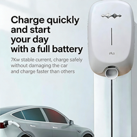 Borne de recharge murale 7 kW pour véhicules électriques, compatible avec les modèles Formula Leopard et BYD, station de charge sécurisée pour véhicules électriques, chargeur pour usage domestique