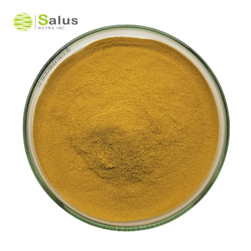 ISO certificate plant extract ashwagandha extract 5 % withanolides