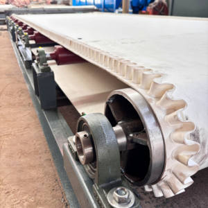 Buon prezzo, - Product Image 5