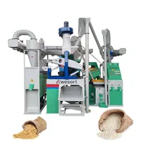 Güneydoğu asya otomatik pirinç değirmeni freze makinesi saatte 2 Ton pirinç değirmeni tesisi