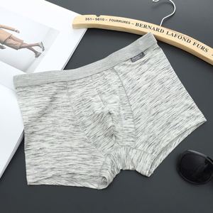 Boxer Briefs pour Hommes, Sous-vêtements en Coton Extensible et Respirant - Product Image 4
