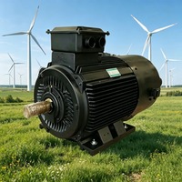 Éolienne verticale hydro-synchronisée Enning avec protection IP68, 10 kW, générateur silencieux à aimant permanent et bobinage d'alternateur