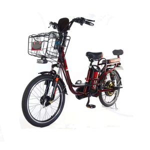 Vente en gros 350W 48V Vélo électrique <span class=keywords><strong>vintage</strong></span> 20 pouces Vélo électrique de ville pour femmes Vélo électrique avec panier - Product Image 4