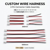 Harnais de câblage électrique personnalisé avec connecteurs JST PH XH GH ZH SH, 2 à 10 broches, pas de 1,0, 1,25, 2,0, 2,5 mm, pour PCB et batteries, OEM ODM