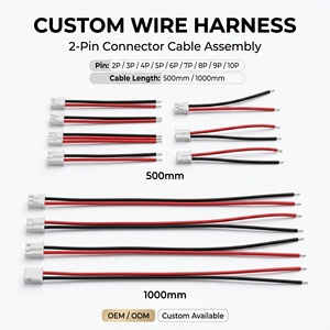 Câble de raccordement personnalisé pour ordinateur, faisceau de câbles JST PVC, pas de 1,25 mm et <span class=keywords><strong>2</strong></span>,0 mm, connecteur adaptateur <span class=keywords><strong>2</strong></span>-6 broches, assemblage de câbles OEM ODM - Product Image 1
