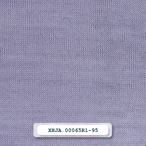 XHJA.00065R1-95