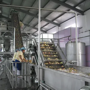 Turnkey project full automatic industrial apple/pear/pineapple concentrated juice making line/apple juice processing line