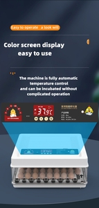 미니 아프리카 계란 부화기 오리알 부화기 36-68 계란 부화 머신 - Product Image 6