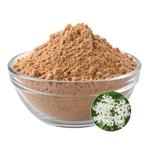 Estratto Puro di Bacche di Sambuco Nigra Certificato HACCP ISO Servizio Personalizzato per la Crescita del Brand in Tutte le Categorie - Product Image 2