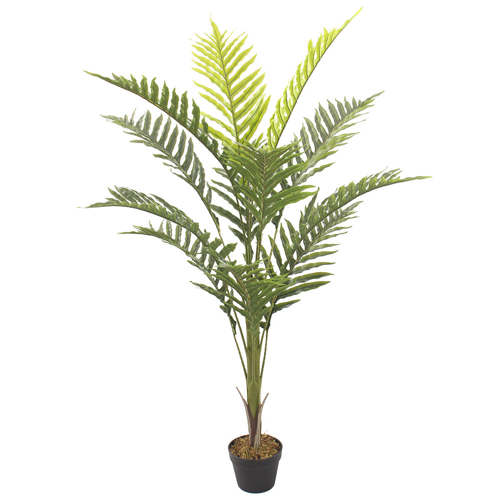 สีเขียว