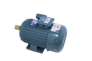 Moteur à induction monophasé 2HP 1,5KW 1500 tr/min entièrement fermé en fonte avec support au sol 208-230V 50Hz Efficacité IE2 Cadre 95mm - Product Image 4