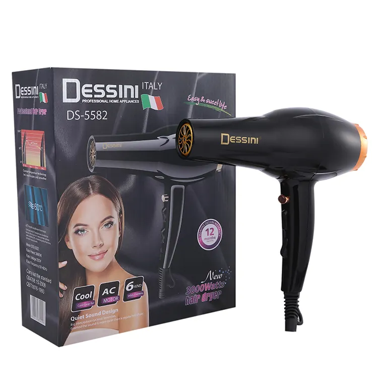 DESSINI New Type Commercial Lightweight Negative Ionic Heat And Cool Setting Hair Blow Dryer