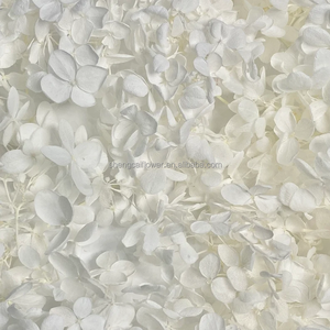 ดอกไฮเดรนเยียที่เก็บรักษาไว้38สีแห้งยาวนานสำหรับการจัดเรียงทำมือเค้กวันเกิดทำจากเรซิ่น - Product Image 2