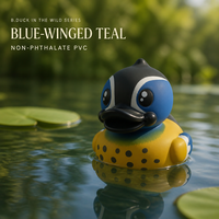 B.DUCK Série Sauvage Canard Colvert à Ailes Bleues Figurine PVC Canard Flottant OEM Boîte Mystère Personnalisée Canard en Caoutchouc