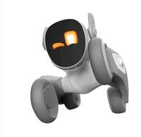 Robot Perro Educativo Industrial Inteligente DIY, Operado por Android con Control Remoto y Monitoreo Remoto para Niños, Personalizado OEM
