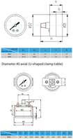 Bottom Mounting Pressure Gauges Stainless Steel Pressure Gauge Oil Pressure Gauge