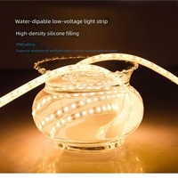 Bande lumineuse LED étanche pour extérieur 24V COB IP68, flexible, recouverte de silicone, dimmable, 3000K/4000K, IRC 80, durée de vie 5000 heures