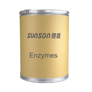 Enzyme xylanase Enzyme cho phụ gia thực phẩm chế biến Enzyme