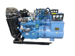 Groupe électrogène Ricardo à châssis ouvert 15KW19kva, vente en gros directe usine avec démarrage et refroidissement par eau - Product Image 6