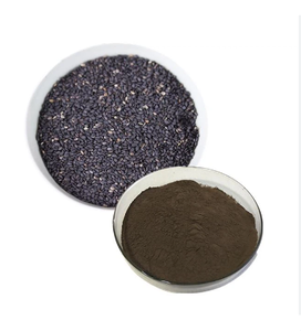 Pasokan pabrik kualitas terbaik bubuk wijen hitam organik curah dijual - Product Image 3