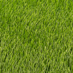 Tapis de gazon artificiel <span class=keywords><strong>en</strong></span> PE coloré à bas prix, <span class=keywords><strong>en</strong></span> <span class=keywords><strong>rouleau</strong></span>, pour sports de plein air, <span class=keywords><strong>pelouse</strong></span>, jardin et aménagement paysager, loisirs sportifs - Product Image 5