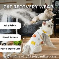Vêtements de récupération médicale pour chats en gros, haute qualité, tissu polyester doux, respirant, léger, pour l'été et l'extérieur après chirurgie