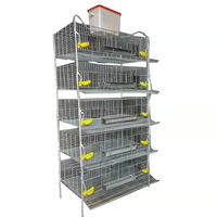 Offre Spéciale – Cage Commerciale à 5 Niveaux pour l'Élevage de Cailles Pondeuses – Cage à Batterie pour la Production d'Œufs