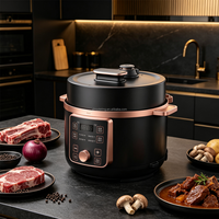 Cuisinière à pression électrique populaire 4L 5L 6L, décompression automatique, multifonction, pour les repas quotidiens en famille