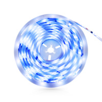 Kit de bande LED RGB-IC à contrôle IR/WiFi intelligent Tuya à vente chaude, 5 m, couleur magique, PST-RGBIC05M