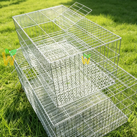 Cage à lapins commerciale pour l'élevage, cage métallique détachable, chenil pliable portable pour chiens et chats, Jaula Para Gatos, Cage De Lapin, Dog