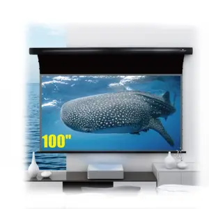 Vividstorm 2 Set 100 Inch Pro Slimline Ust Omgevingslicht Verwerpen 8K 4K Hd Office Movie Cinema Projector screen