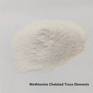 Glicirrizinato Dipotásico, Extracto Crudo de Regaliz, Aditivo Alimentario para Mascotas, Protección del Hígado y la Vesícula Biliar - Product Image 5